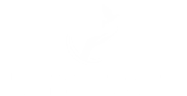 Illinois Coalition Against Domestic Violence Logo